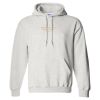 DryBlend® Hoodie Thumbnail